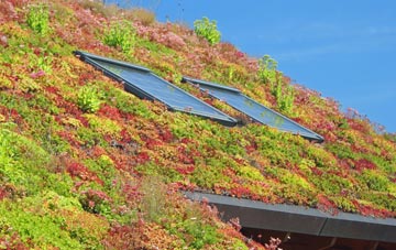Turton Bottoms living roof systems